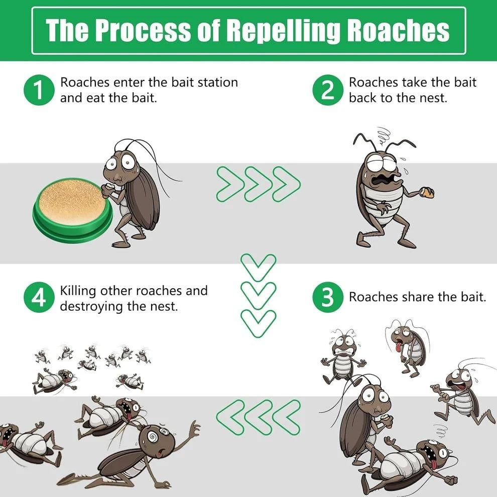 Cockroach Killer Gel | 🔥FLAT 50% OFF SAVING🔥 Pack of 2 (Buy 1 Get 1 Free) + Free Glue Trap