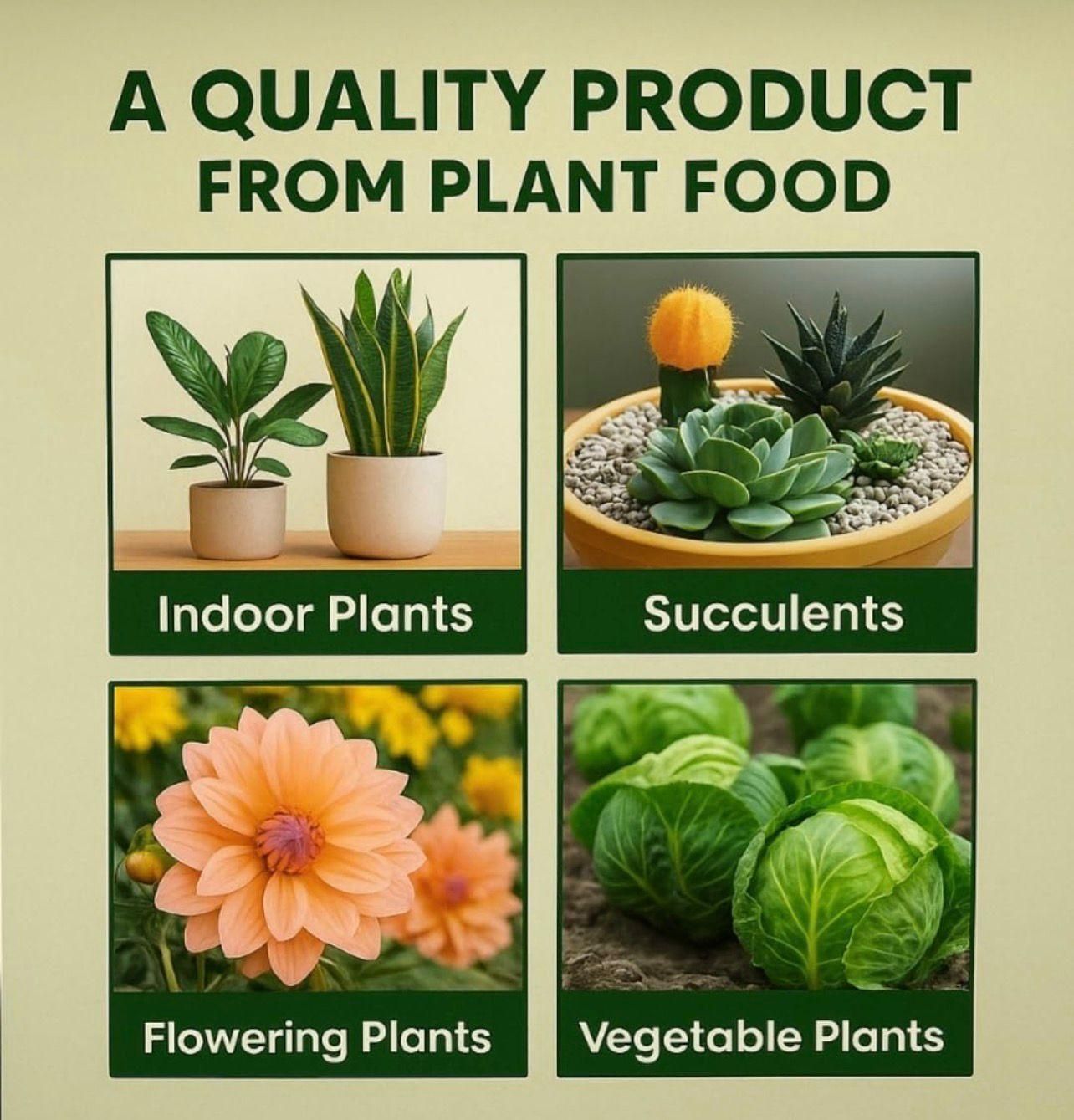 Plantify Plant Food Sticks - Organic Indoor Plant Nutrition