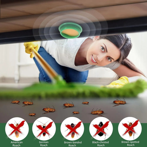 Cockroach Killer Gel | 🔥FLAT 50% OFF SAVING🔥 Pack of 2 (Buy 1 Get 1 Free) + Free Glue Trap