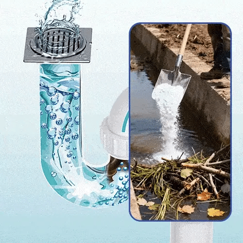 Toilet Cleaning Agent Powder Foaming 500 gm (Pack of 1)