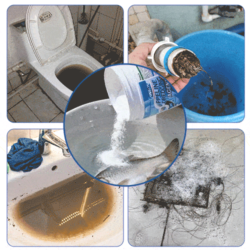 Toilet Cleaning Agent Powder Foaming 500 gm (Pack of 1)